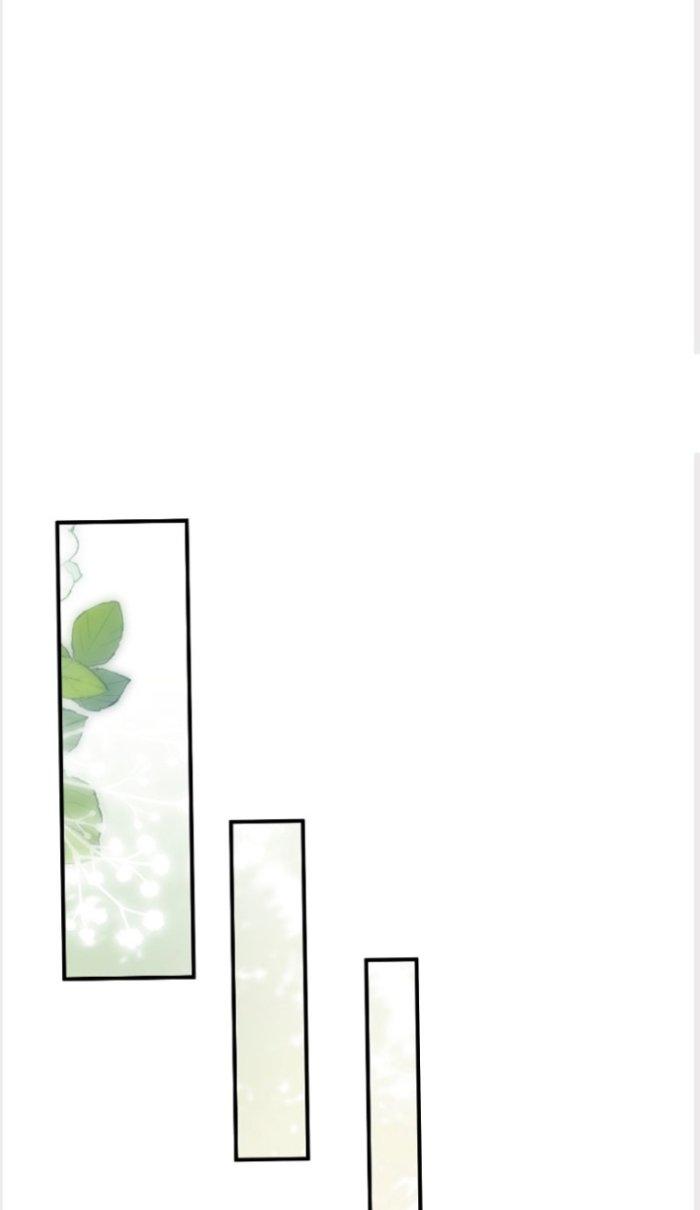 Thần Cấp Khế Ước: Bắt Đầu Từ Một Con Mèo Chapter 13 - Trang 2