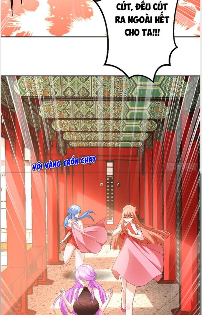 Thần Cấp Khế Ước: Bắt Đầu Từ Một Con Mèo Chapter 14 - Trang 2