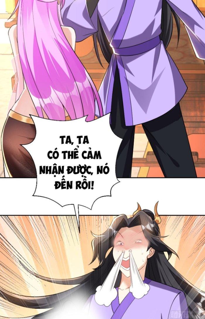 Thần Cấp Khế Ước: Bắt Đầu Từ Một Con Mèo Chapter 14 - Trang 2