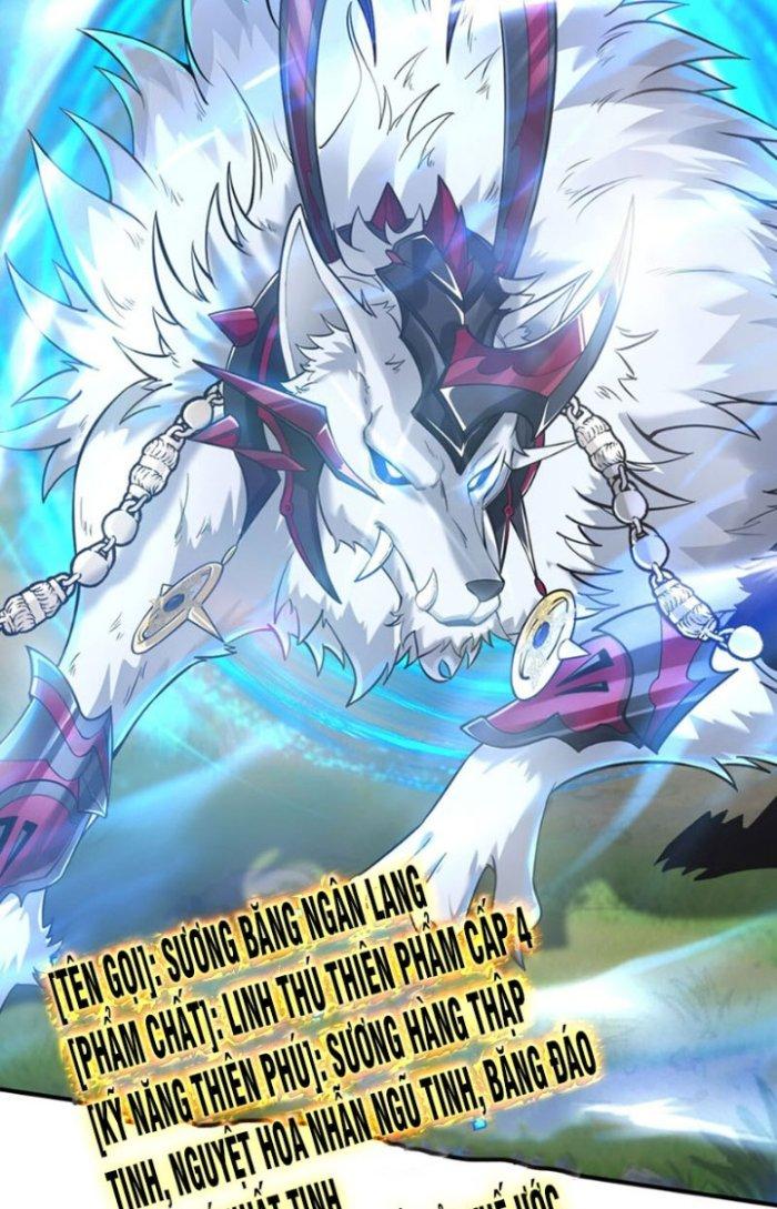 Thần Cấp Khế Ước: Bắt Đầu Từ Một Con Mèo Chapter 15 - Trang 2