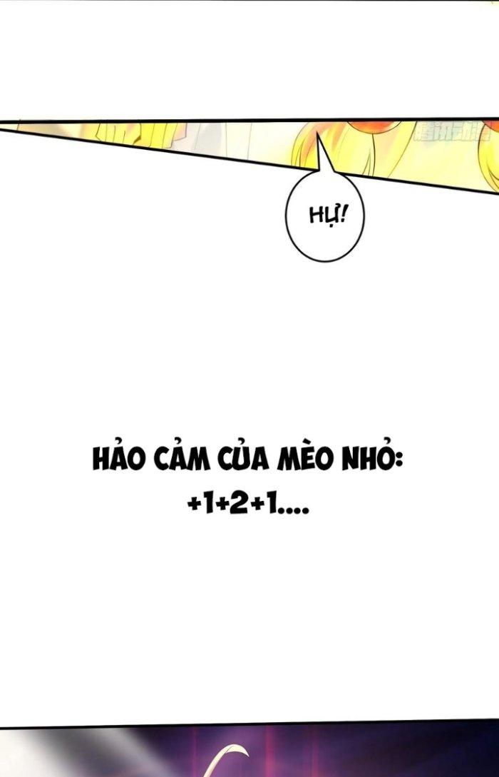 Thần Cấp Khế Ước: Bắt Đầu Từ Một Con Mèo Chapter 16 - Trang 2