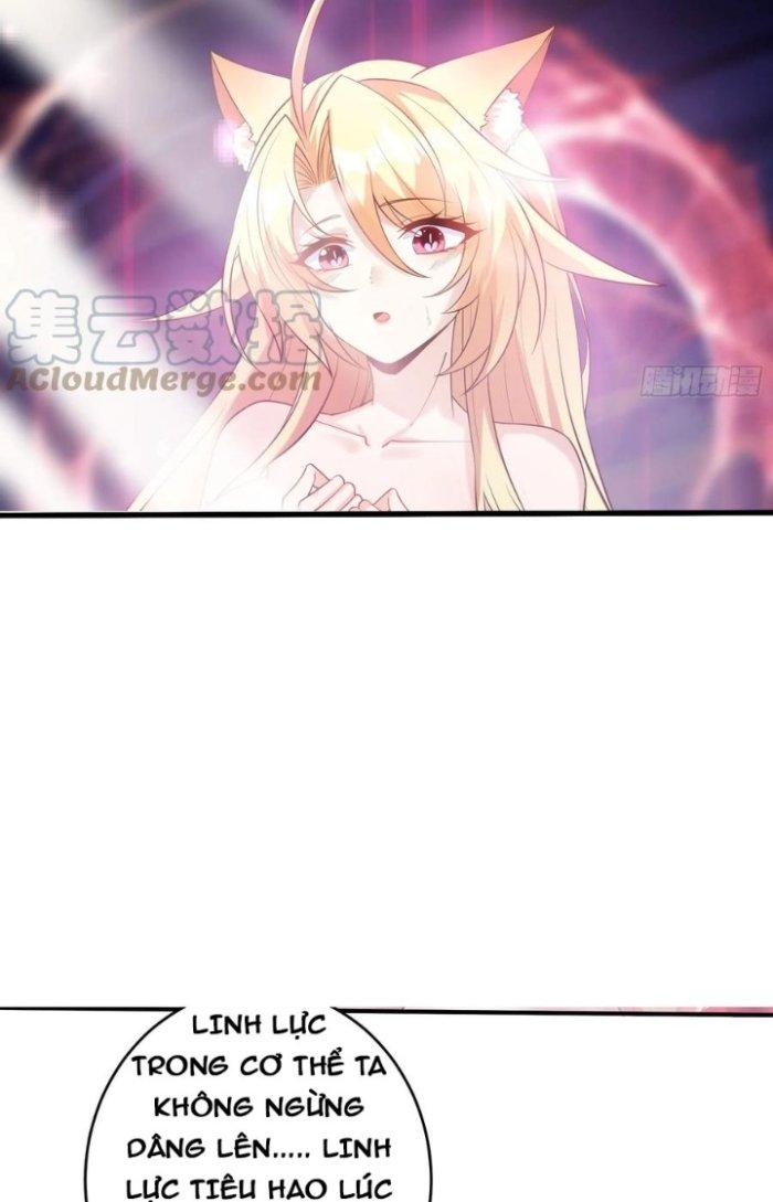 Thần Cấp Khế Ước: Bắt Đầu Từ Một Con Mèo Chapter 16 - Trang 2