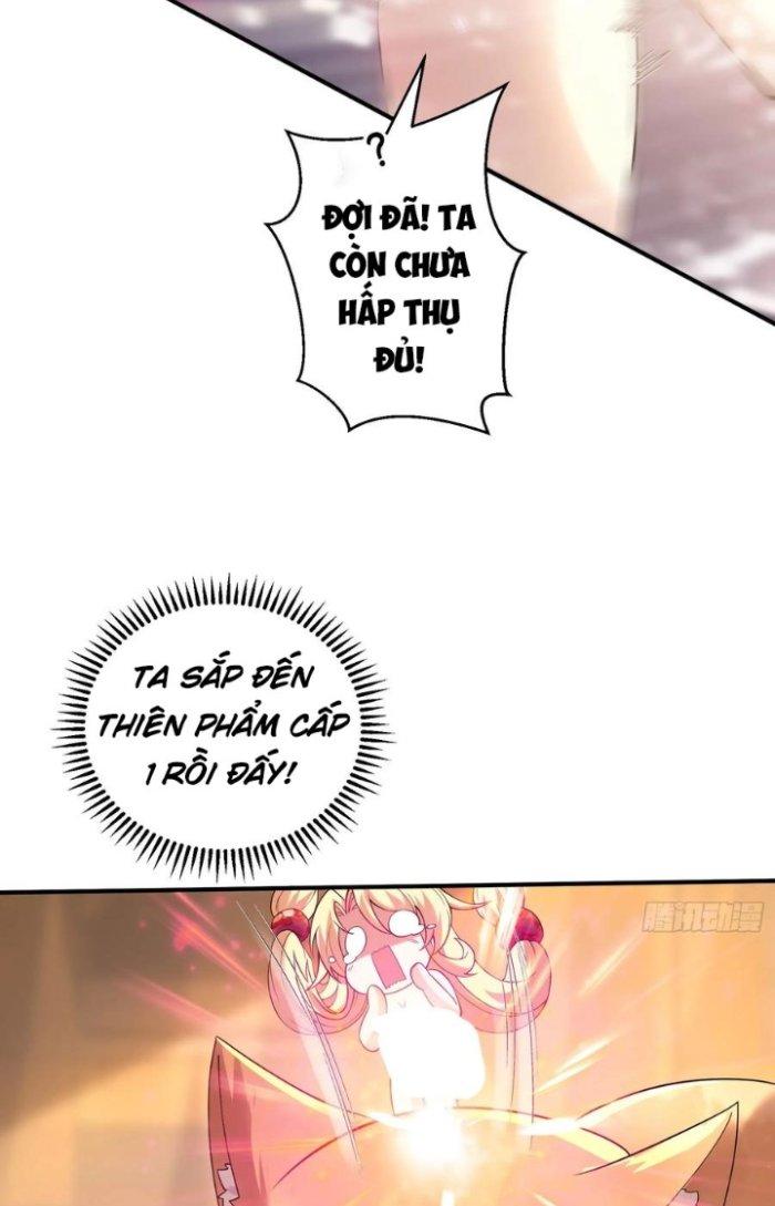 Thần Cấp Khế Ước: Bắt Đầu Từ Một Con Mèo Chapter 16 - Trang 2