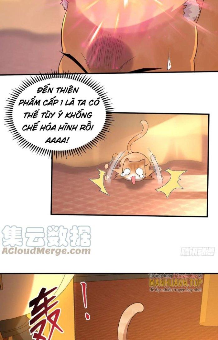Thần Cấp Khế Ước: Bắt Đầu Từ Một Con Mèo Chapter 16 - Trang 2