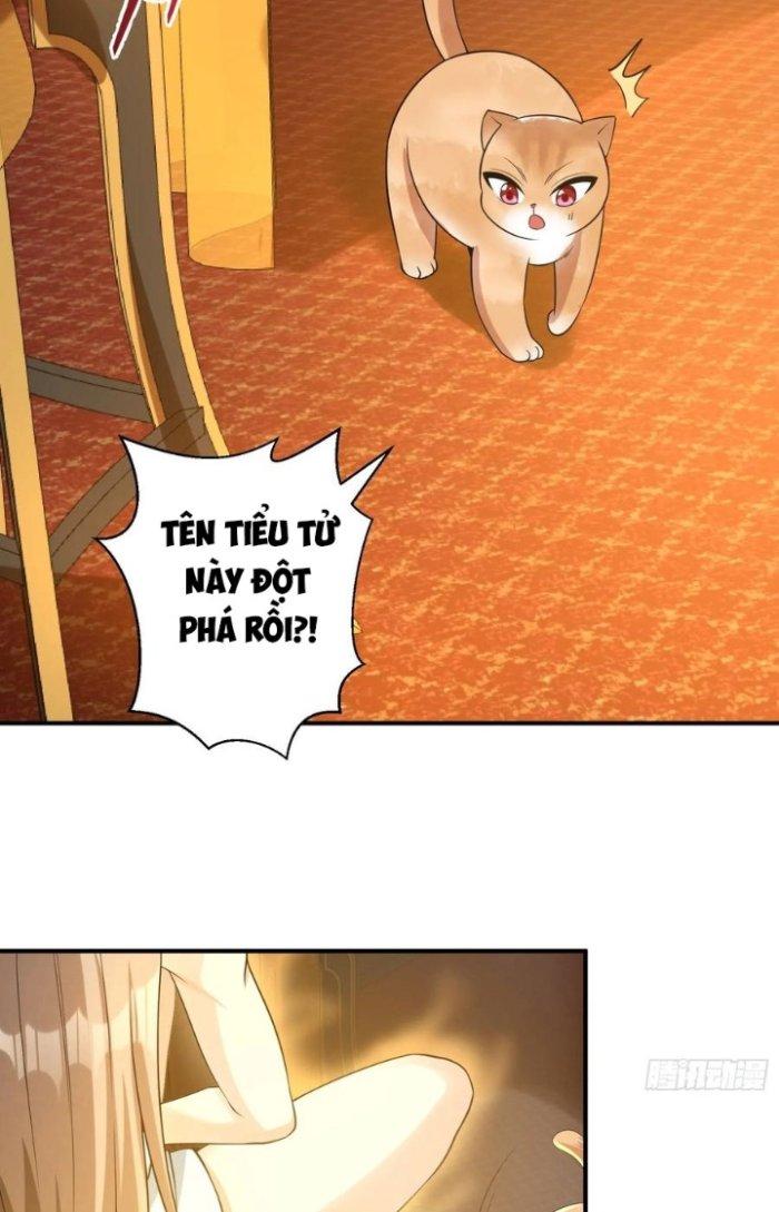 Thần Cấp Khế Ước: Bắt Đầu Từ Một Con Mèo Chapter 16 - Trang 2