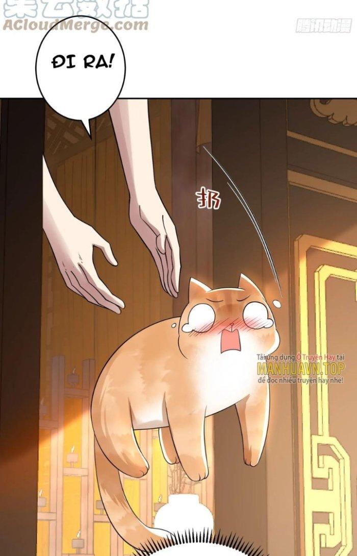 Thần Cấp Khế Ước: Bắt Đầu Từ Một Con Mèo Chapter 16 - Trang 2