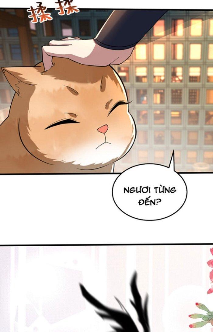Thần Cấp Khế Ước: Bắt Đầu Từ Một Con Mèo Chapter 18 - Trang 2