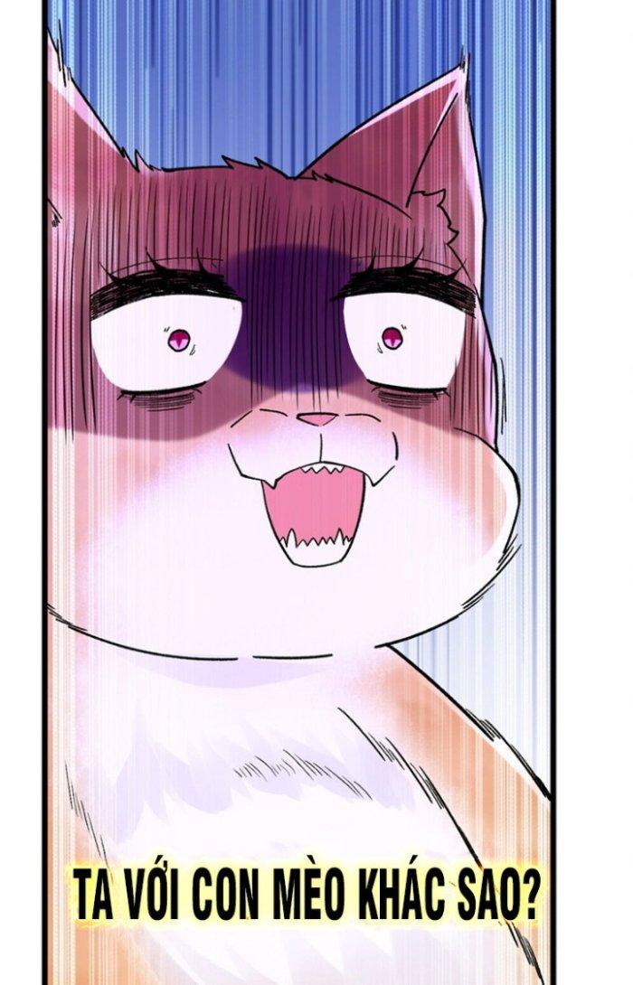 Thần Cấp Khế Ước: Bắt Đầu Từ Một Con Mèo Chapter 18 - Trang 2