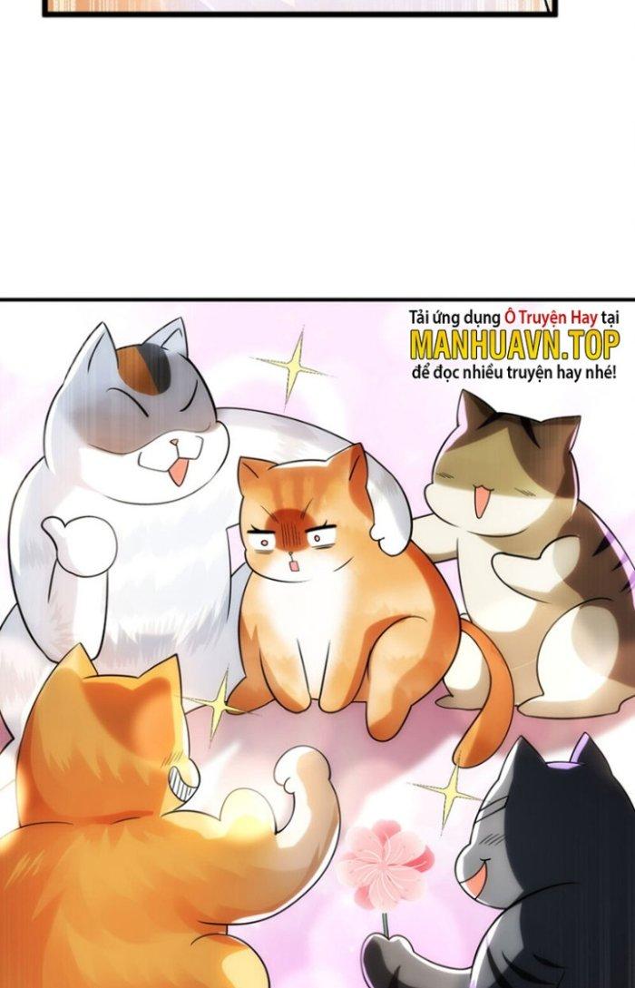 Thần Cấp Khế Ước: Bắt Đầu Từ Một Con Mèo Chapter 18 - Trang 2