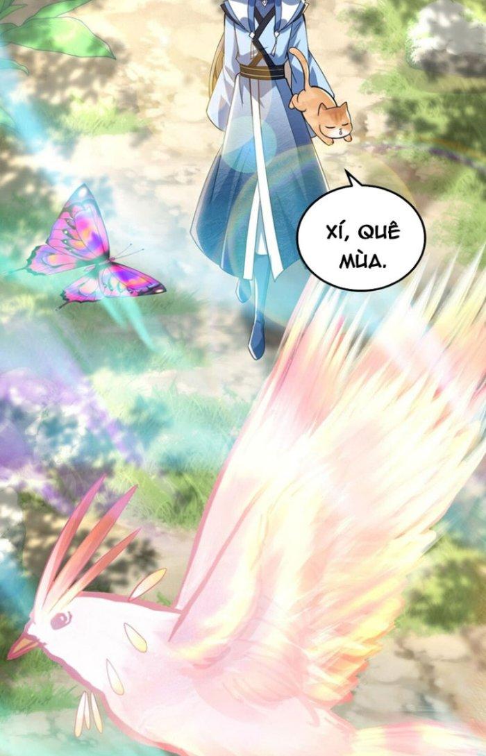 Thần Cấp Khế Ước: Bắt Đầu Từ Một Con Mèo Chapter 19 - Trang 2