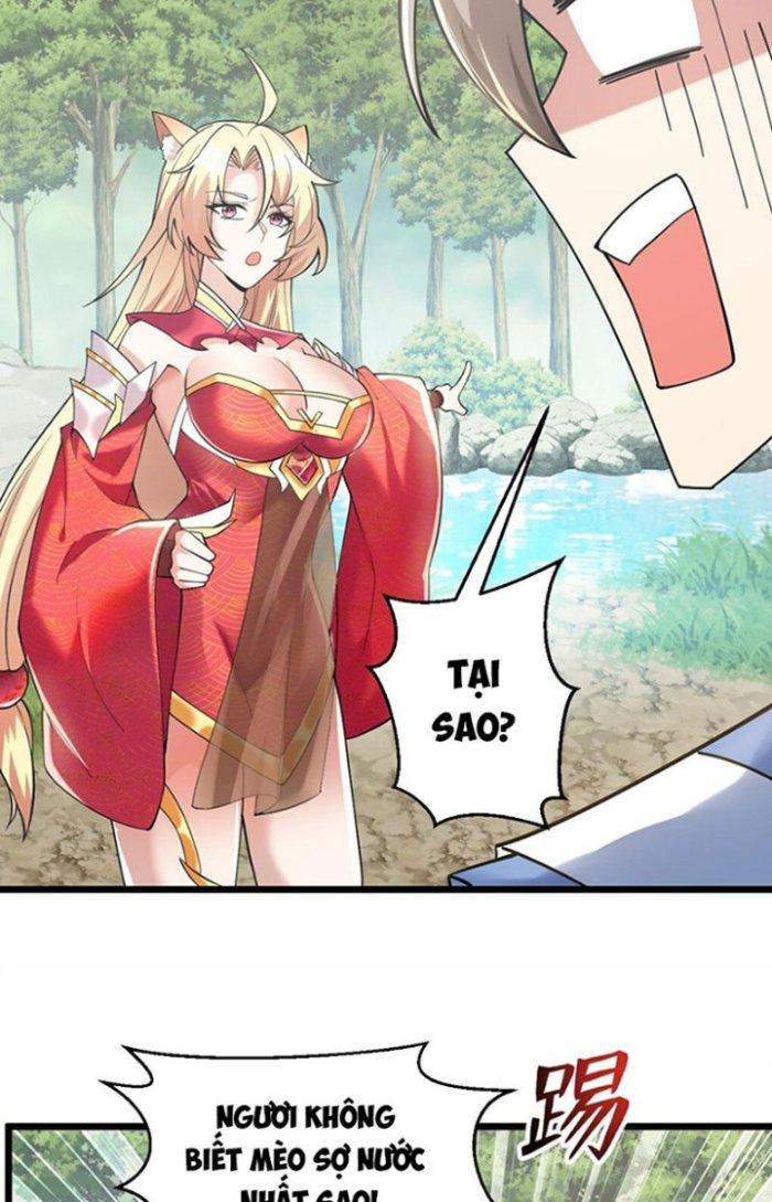 Thần Cấp Khế Ước: Bắt Đầu Từ Một Con Mèo Chapter 19 - Trang 2