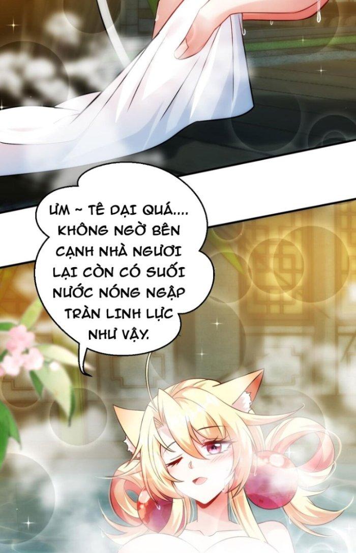 Thần Cấp Khế Ước: Bắt Đầu Từ Một Con Mèo Chapter 25 - Trang 2