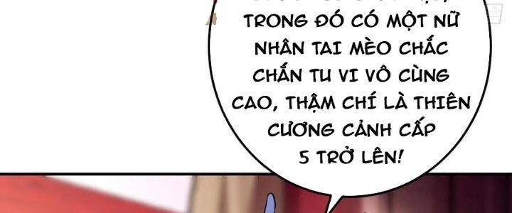 Thần Cấp Khế Ước: Bắt Đầu Từ Một Con Mèo Chapter 26 - Trang 2