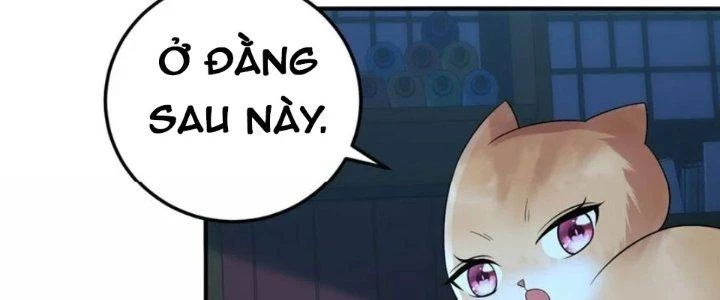 Thần Cấp Khế Ước: Bắt Đầu Từ Một Con Mèo Chapter 32 - Trang 2