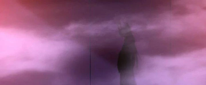 Thần Cấp Khế Ước: Bắt Đầu Từ Một Con Mèo Chapter 32 - Trang 2