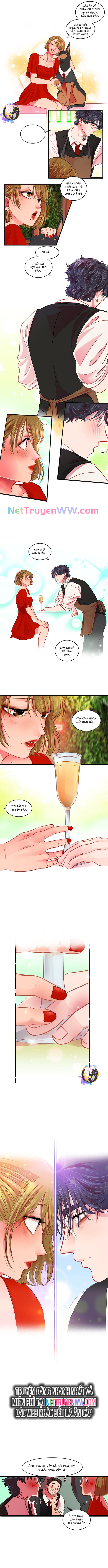 Tình Yêu Dẫn Lối Chapter 17 - Trang 2