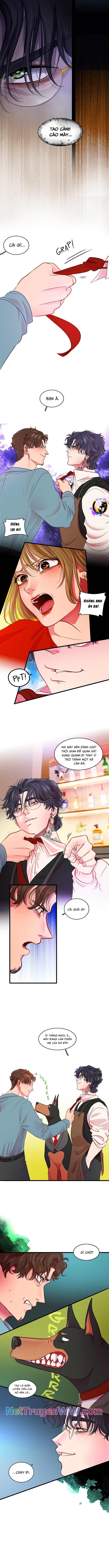 Tình Yêu Dẫn Lối Chapter 18 - Trang 2