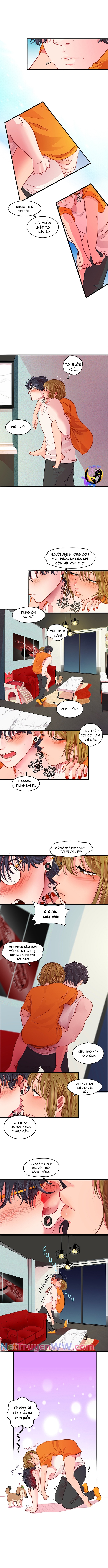 Tình Yêu Dẫn Lối Chapter 19 - Trang 2