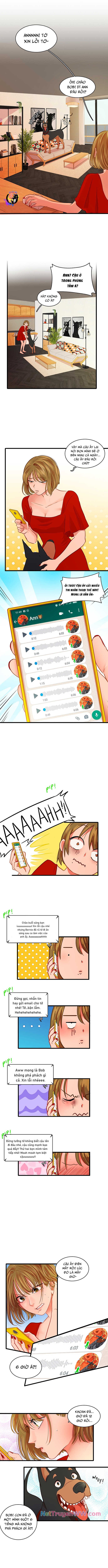 Tình Yêu Dẫn Lối Chapter 20 - Trang 2