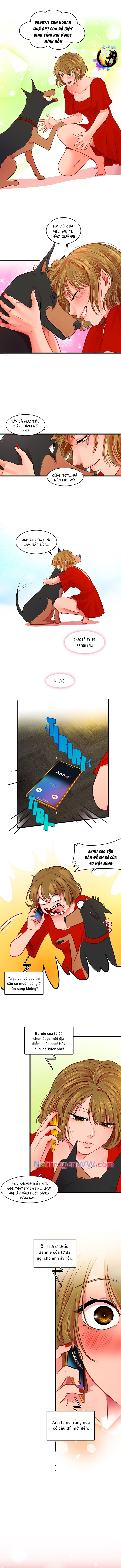 Tình Yêu Dẫn Lối Chapter 20 - Trang 2