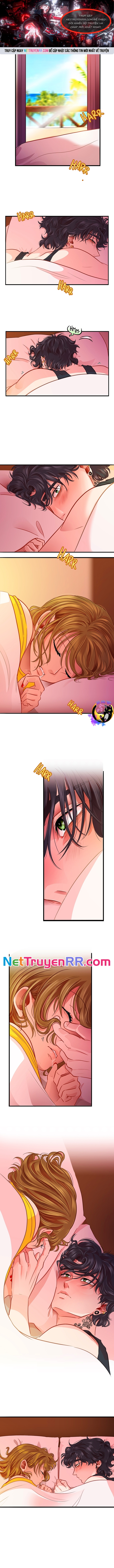 Tình Yêu Dẫn Lối Chapter 31 - Trang 2