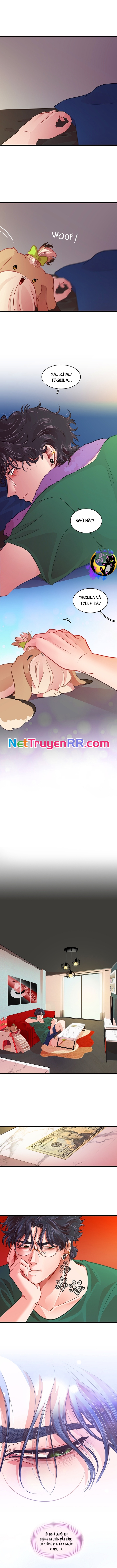 Tình Yêu Dẫn Lối Chapter 38 - Trang 2