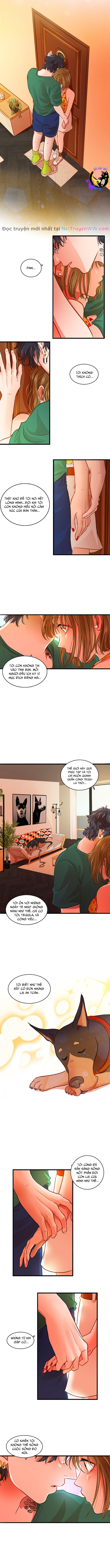 Tình Yêu Dẫn Lối Chapter 39 - Trang 2