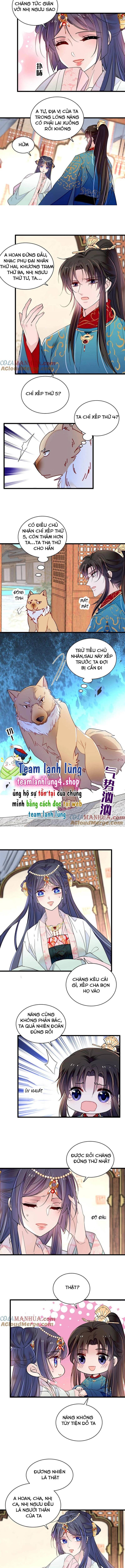 Tự Cẩm Chapter 248 - Trang 2