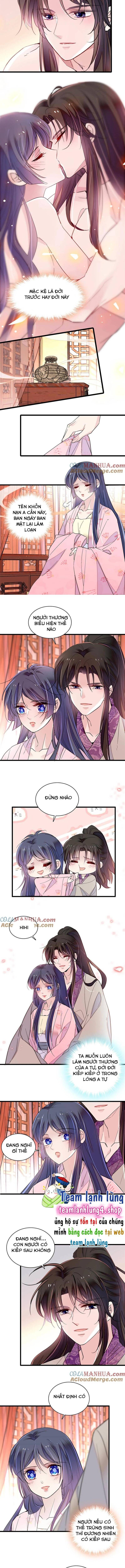 Tự Cẩm Chapter 249 - Trang 2