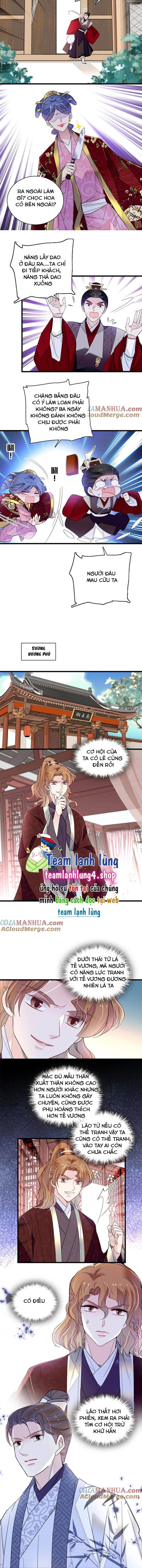 Tự Cẩm Chapter 259 - Trang 2