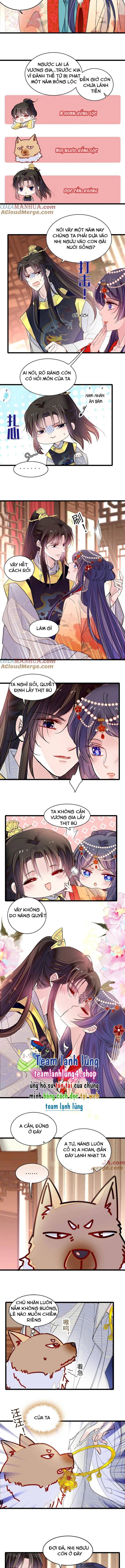 Tự Cẩm Chapter 260 - Trang 2