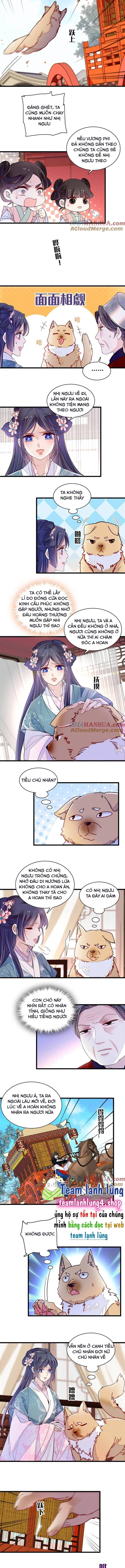 Tự Cẩm Chapter 279 - Trang 2