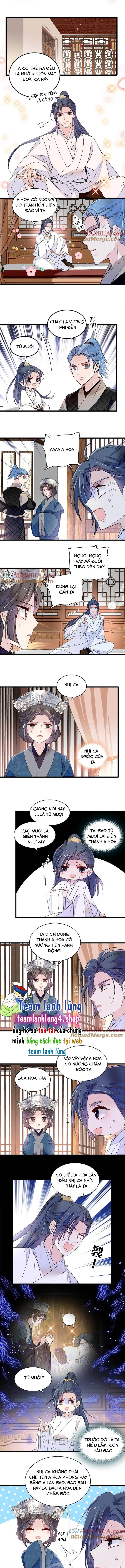 Tự Cẩm Chapter 294 - Trang 2
