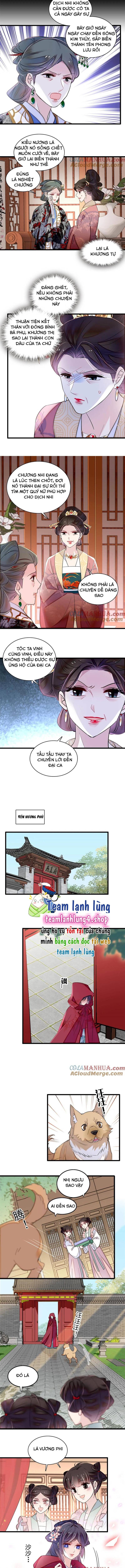 Tự Cẩm Chapter 301 - Trang 2