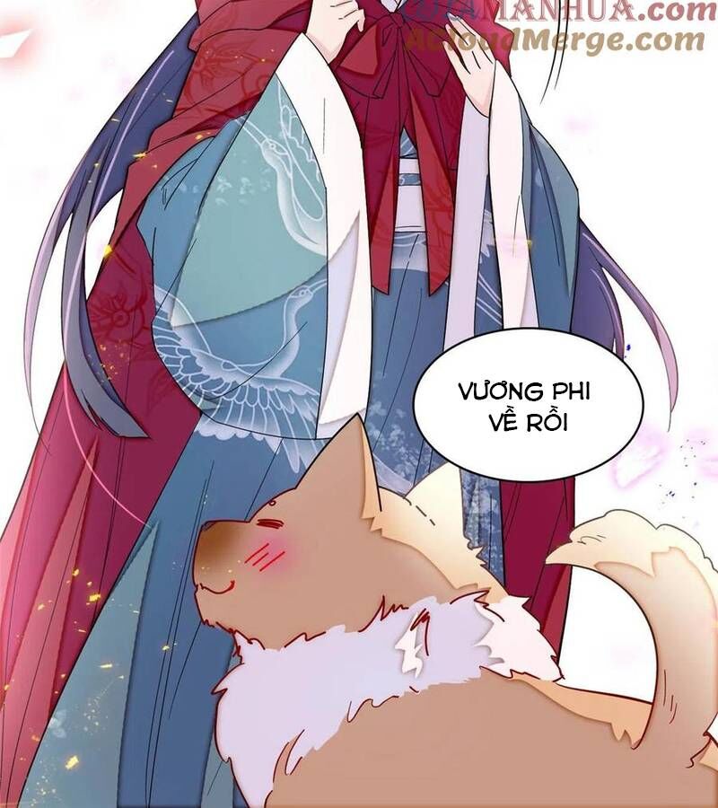 Tự Cẩm Chapter 301 - Trang 2