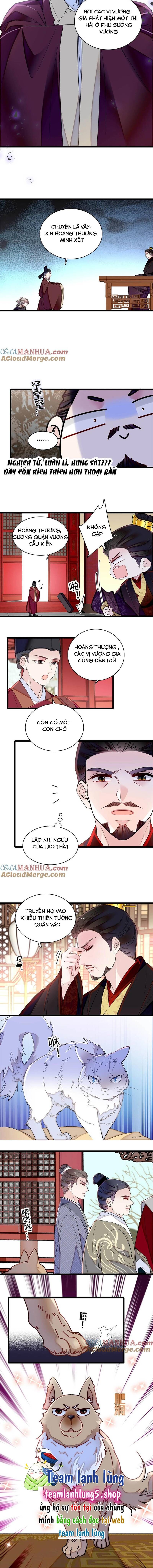 Tự Cẩm Chapter 333 - Trang 2