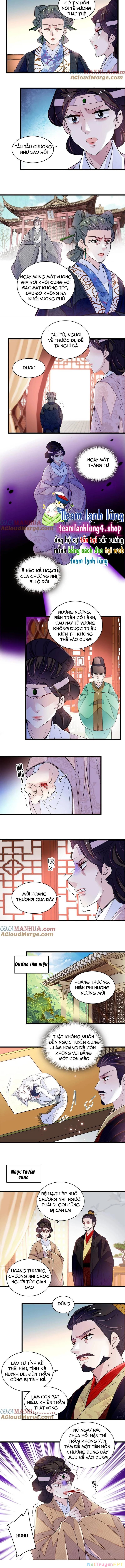 Tự Cẩm Chapter 342 - Trang 2