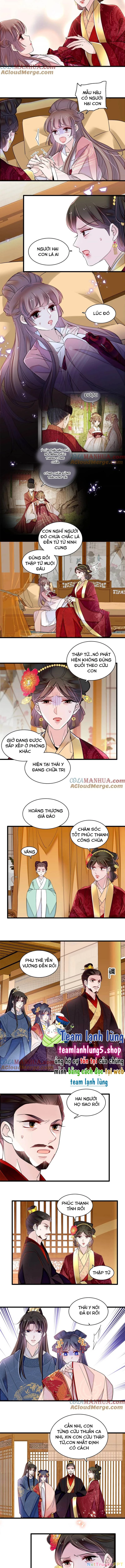 Tự Cẩm Chapter 345 - Trang 2