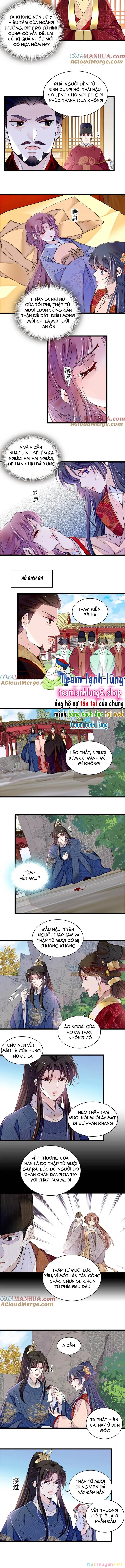 Tự Cẩm Chapter 346 - Trang 2