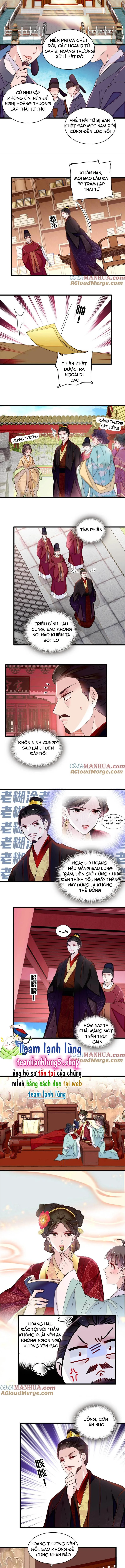Tự Cẩm Chapter 352 - Trang 2