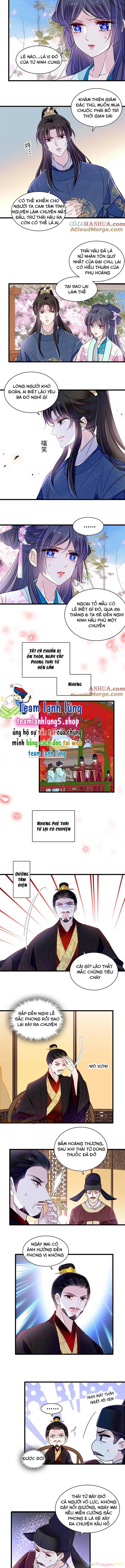Tự Cẩm Chapter 356 - Trang 2