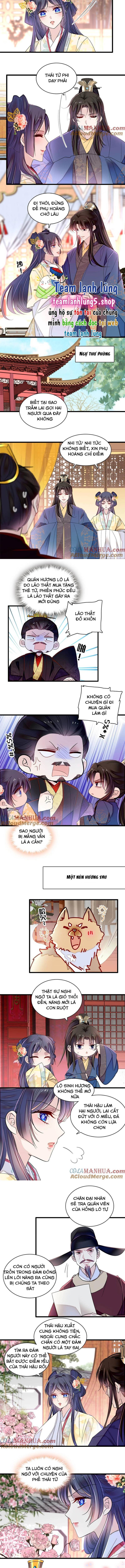 Tự Cẩm Chapter 365 - Trang 2