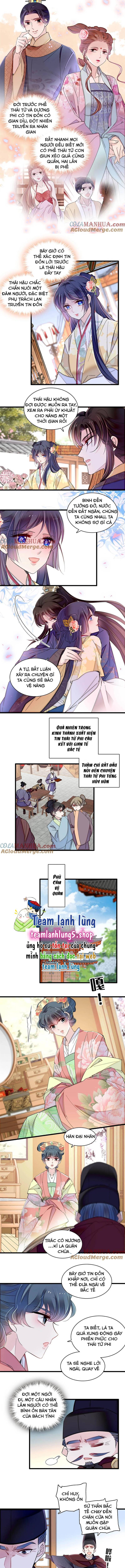 Tự Cẩm Chapter 365 - Trang 2