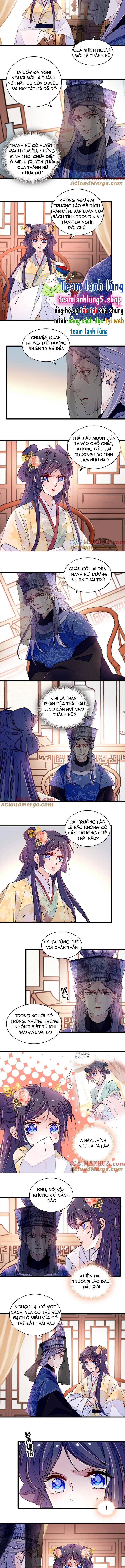 Tự Cẩm Chapter 366 - Trang 2