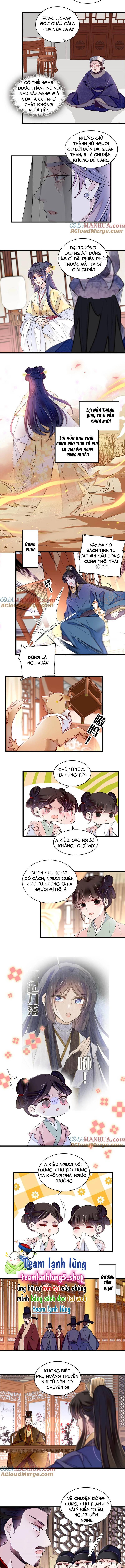 Tự Cẩm Chapter 367 - Trang 2