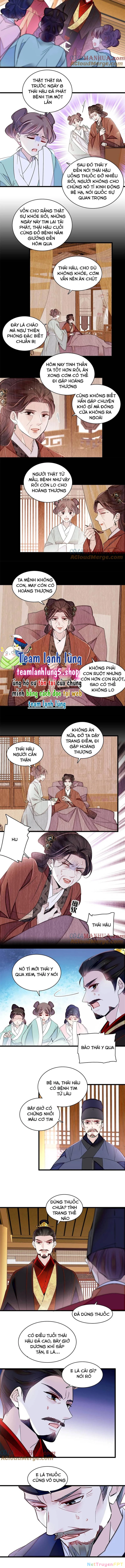 Tự Cẩm Chapter 373 - Trang 2