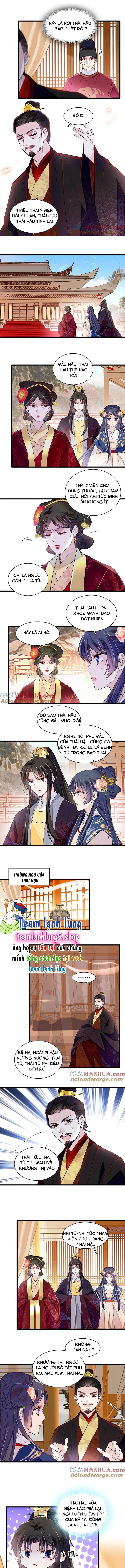 Tự Cẩm Chapter 373 - Trang 2