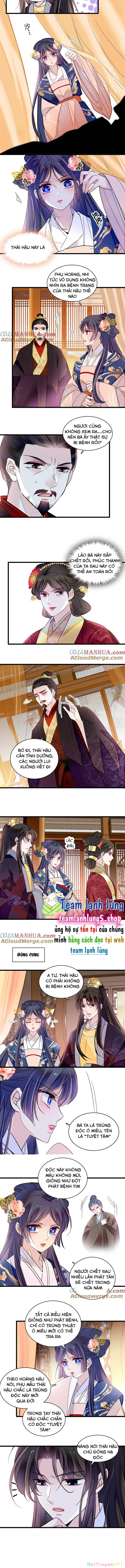 Tự Cẩm Chapter 373 - Trang 2