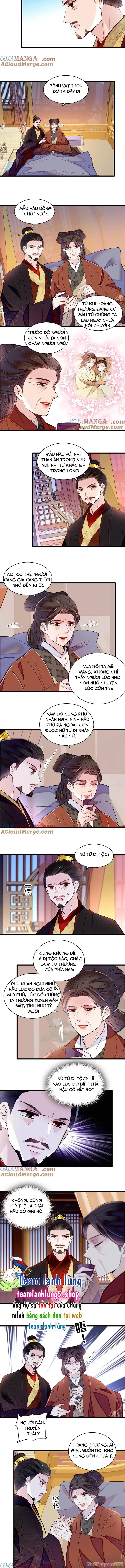 Tự Cẩm Chapter 374 - Trang 2