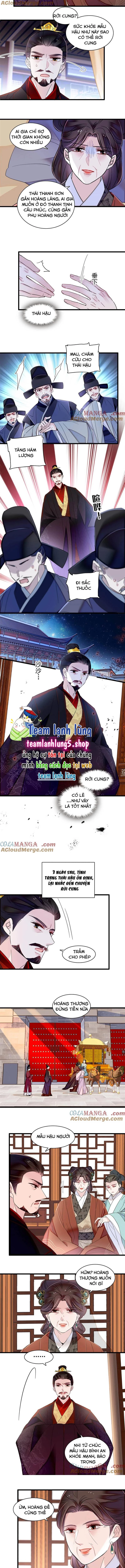 Tự Cẩm Chapter 374 - Trang 2